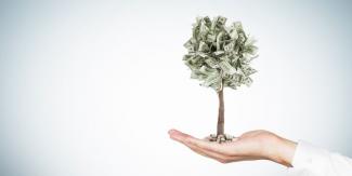 Baum aus Geldscheinen steht auf einer Hand