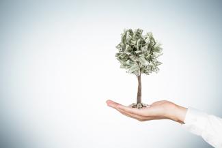 Foto: Fotolia Baum wächst aus Handfläche