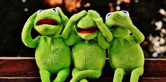 Bild: CC0 Creative Commons Drei Mal Kermit, der Frosch