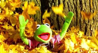 Bild: CC0 Creative Commons Frosch Kermit sprint aus Laub